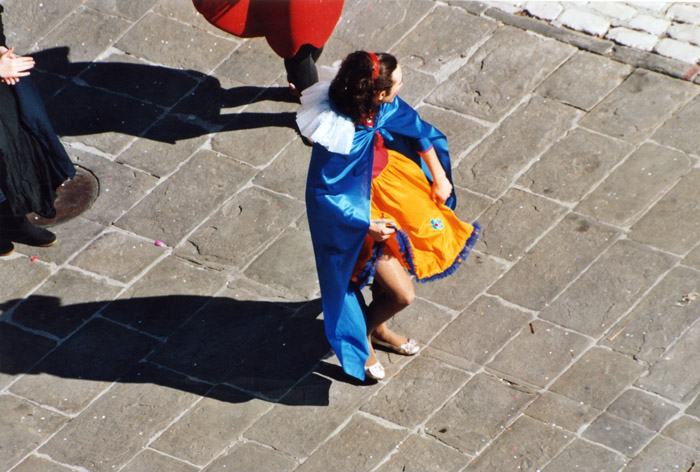 Fotografia Carnevale Artistico